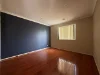 9 Welford Street, Tarneit, Vic 3029-Image