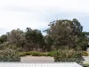 9 Whitney Crescent, Mount Claremont, WA 6010-Image