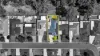 9 Wilkinson Crescent, Ingleburn, NSW 2565-Image