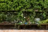 9 Willowood Place, The Gap, Qld 4061-Image