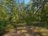 9 Woodend Road, Sadliers Crossing, Qld 4305-Image