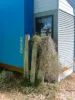 9 Wren Court, Meningie, SA 5264-Image