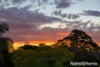 9 Wyuna Road, West Pymble, NSW 2073-Image