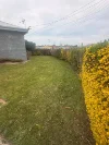 90 Cimitiere Street, George Town, Tas 7253-Image