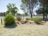 90 Dandaloo Street, Narromine, NSW 2821-Image