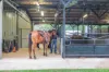 90 Emanuel Road, Girraween, NT 0836-Image