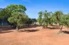 90 George Street, Gunnedah, NSW 2380-Image