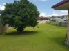 90 Gordon Avenue, Darra, Qld 4076-Image