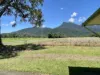 90 Gorge Road, Mossman, Qld 4873-Image