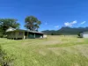 90 Gorge Road, Mossman, Qld 4873-Image