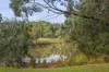 90 Ilsley Lane, Musk, Vic 3461-Image