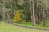 90 Ilsley Lane, Musk, Vic 3461-Image