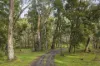 90 Ilsley Lane, Musk, Vic 3461-Image