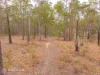 90 Lynne Drive, Curra, Qld 4570-Image
