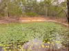 90 Lynne Drive, Curra, Qld 4570-Image