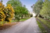 90 Okeefe Road, Pine Lodge, Vic 3631-Image