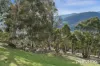 90 Poulters Road, New Norfolk, Tas 7140-Image