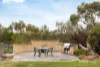 90 Proctor Street, St Andrews, Vic 3761-Image