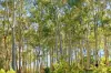90 The Anchorage, Moruya Heads, NSW 2537-Image