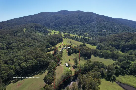 9050 Springhills Road, Tilba Tilba, NSW 2546