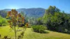 9050 Springhills Road, Tilba Tilba, NSW 2546-Image