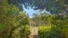 9050 Springhills Road, Tilba Tilba, NSW 2546-Image