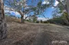 906 Cambridge Road, Cambridge, Tas 7170-Image