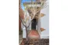 906 Lygon Street, Carlton North, Vic 3054-Image
