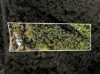 909 Blanchview Road, Silver Ridge, Qld 4352-Image