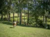 91 & 101 Jackwood Road, Valla, NSW 2448-Image