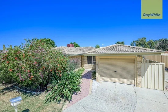 91 Amazon Drive, Beechboro WA 6063-Image