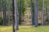 91 Arborten Road, Glenwood, Qld 4570-Image