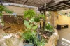 91 Bedford Street, Aberdeen, NSW 2336-Image
