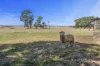 91 Bo Peep Road, Burrumbeet, Vic 3352-Image