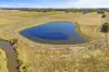 91 Bo Peep Road, Burrumbeet, Vic 3352-Image