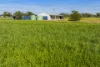 91 Cooper Street, Moora, WA 6510-Image