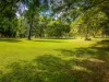 91 Currey Road, Wongawallan, Qld 4210-Image