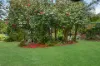 91 Eaton Road, West Pennant Hills, NSW 2125-Image