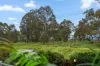 91 Jansz Crescent, Griffith, ACT 2603-Image