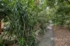 91 Main Street, Gembrook, Vic 3783-Image