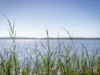 91 Natuna Avenue, Budgewoi, NSW 2262-Image