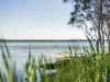 91 Natuna Avenue, Budgewoi, NSW 2262-Image