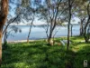 91 Natuna Avenue, Budgewoi, NSW 2262-Image