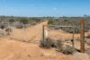 91 Rail Road, Morgan, SA 5320-Image