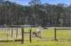 91 Rosa Court, Kyneton, Vic 3444-Image