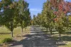 91 Rosa Court, Kyneton, Vic 3444-Image