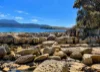 91 Spitfarm Road, Opossum Bay, Tas 7023-Image