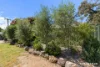 91 Summerville Crescent, Florey, ACT 2615-Image