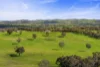 91 Walls Junction Road, Bowning, NSW 2582