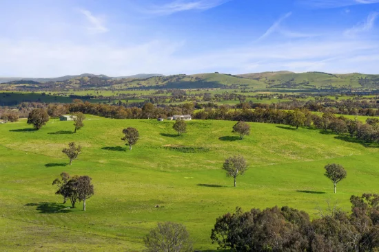91 Walls Junction Road, Bowning, NSW 2582
